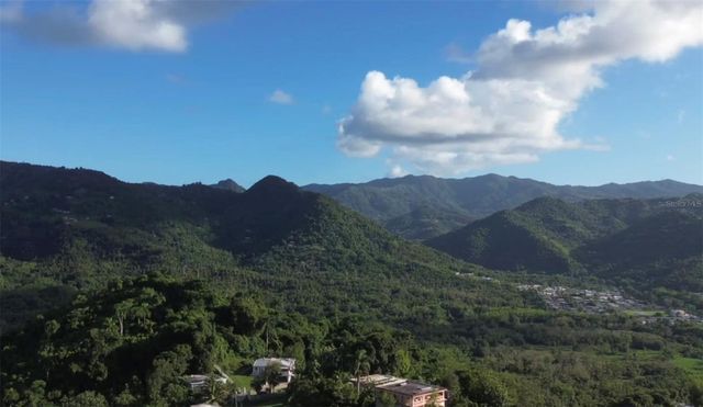 BO BORINQUEN, Caguas, PR 00725