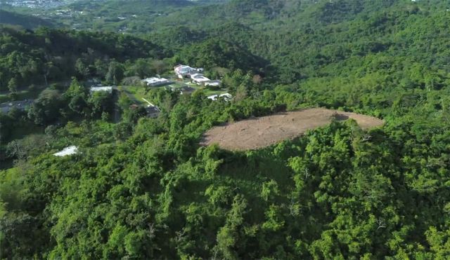 BO BORINQUEN, Caguas, PR 00725