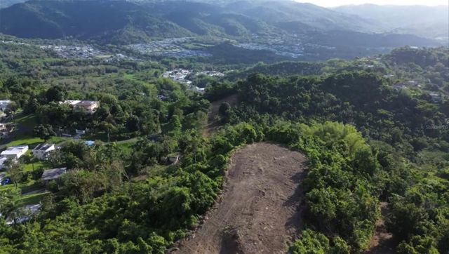 BO BORINQUEN, Caguas, PR 00725