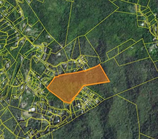 BO BORINQUEN, Caguas, PR 00725