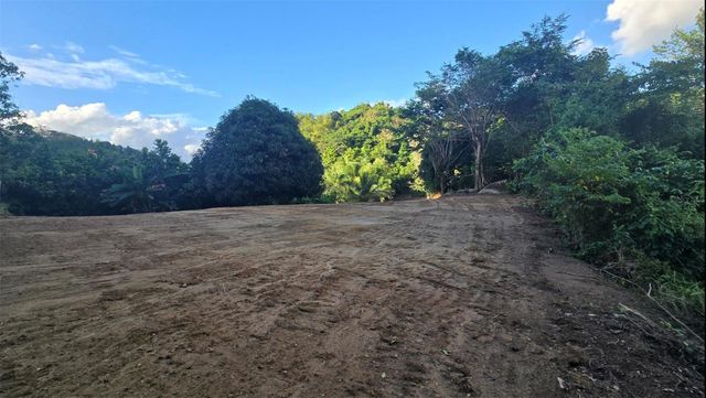 BO BORINQUEN, Caguas, PR 00725