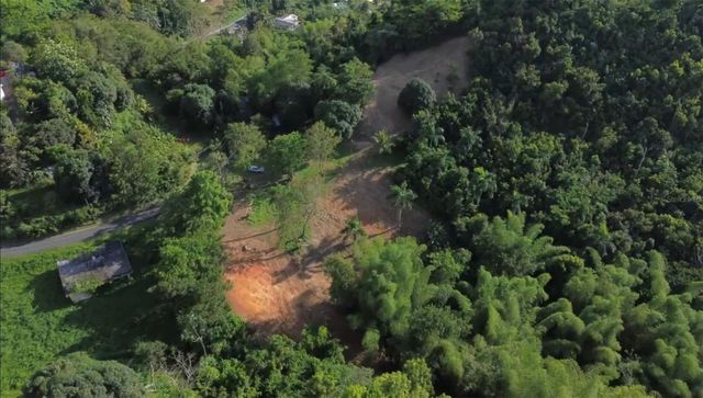 BO BORINQUEN, Caguas, PR 00725