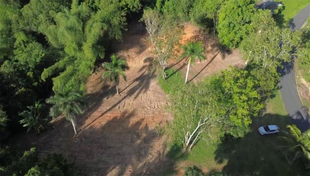 BO BORINQUEN, Caguas, PR 00725