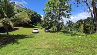 BO BORINQUEN, Caguas, PR 00725