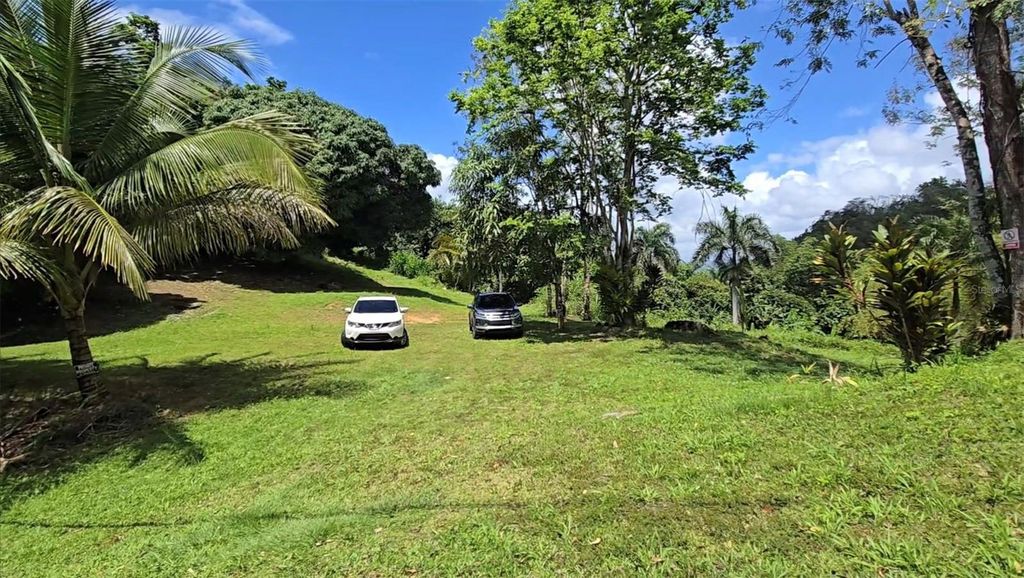 BO BORINQUEN, Caguas, PR 00725