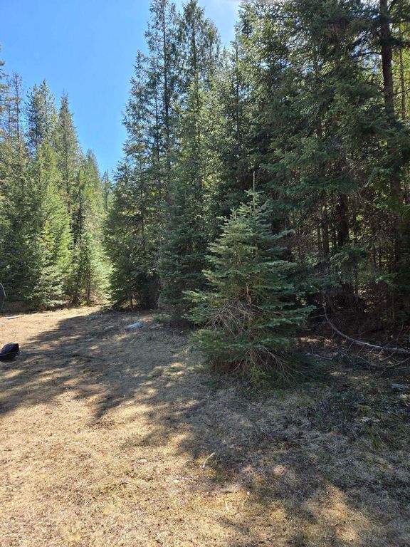 192 Meadowlark Ln, Cusick, WA 99119 photo 2