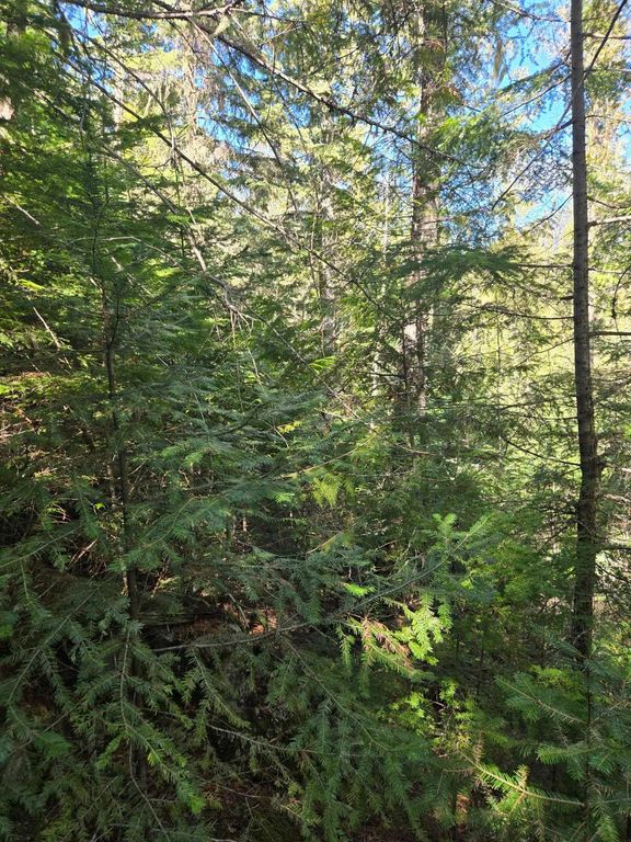 192 Meadowlark Ln, Cusick, WA 99119 photo 11