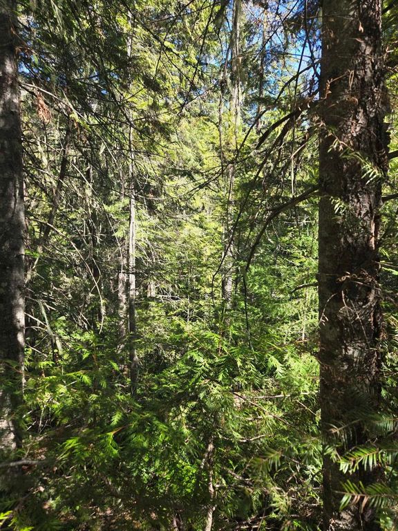 192 Meadowlark Ln, Cusick, WA 99119 photo 15