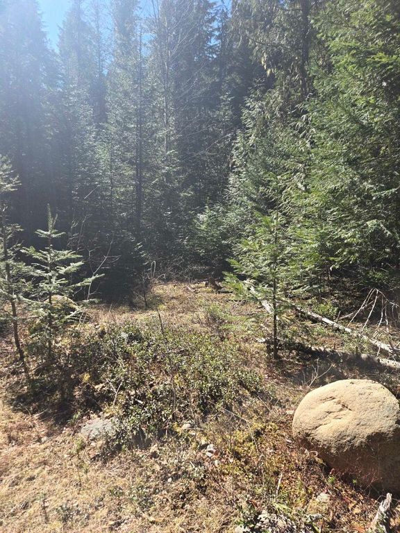 192 Meadowlark Ln, Cusick, WA 99119 photo 3