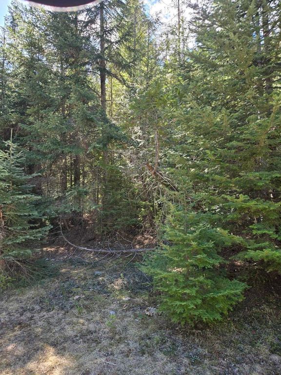 192 Meadowlark Ln, Cusick, WA 99119 photo 4