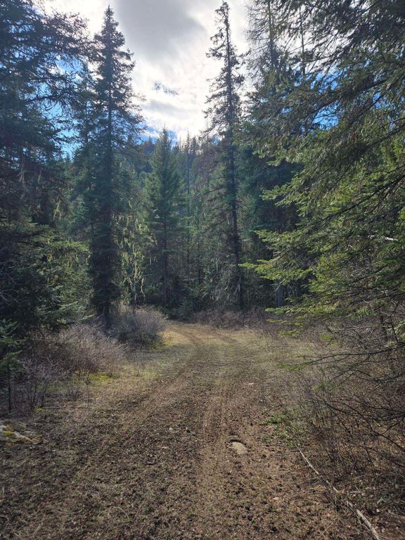 192 Meadowlark Ln, Cusick, WA 99119 photo 5