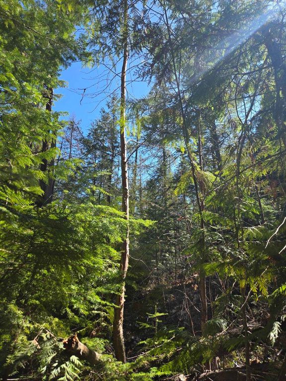 192 Meadowlark Ln, Cusick, WA 99119 photo 6