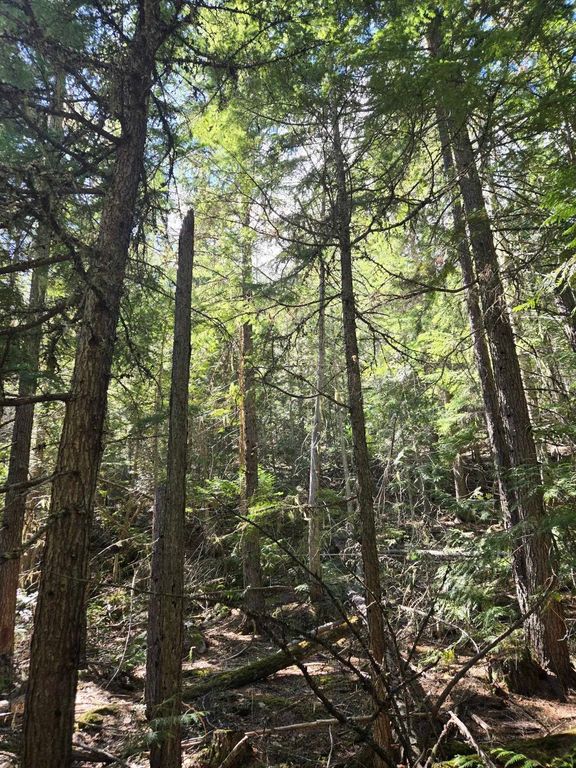 192 Meadowlark Ln, Cusick, WA 99119 photo 7