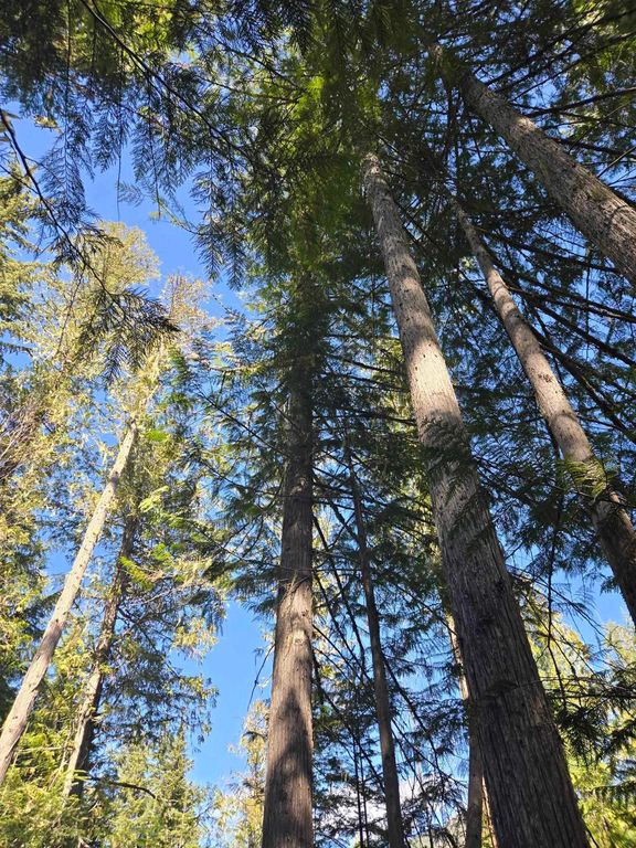 192 Meadowlark Ln, Cusick, WA 99119 photo 8