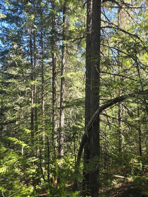 192 Meadowlark Ln, Cusick, WA 99119 photo 9