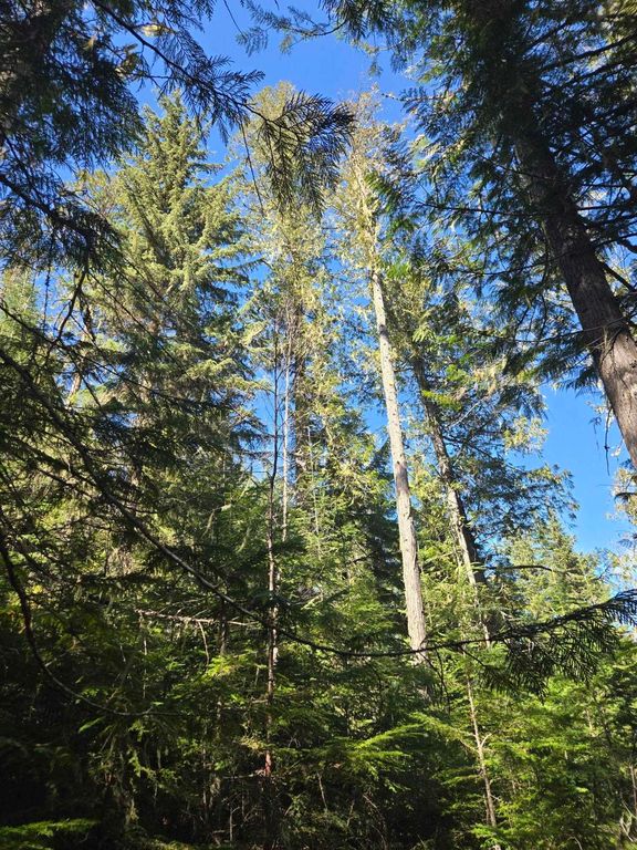 192 Meadowlark Ln, Cusick, WA 99119 photo 10