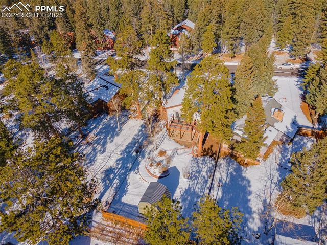 315 E Gunnison Avenue, Woodland Park, CO 80863