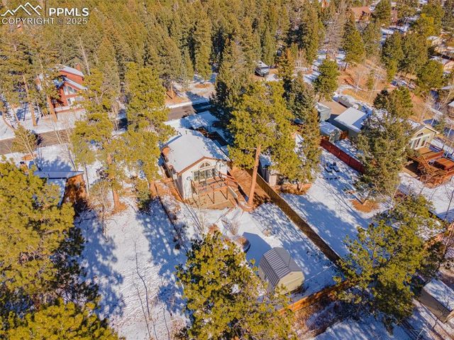 315 E Gunnison Avenue, Woodland Park, CO 80863