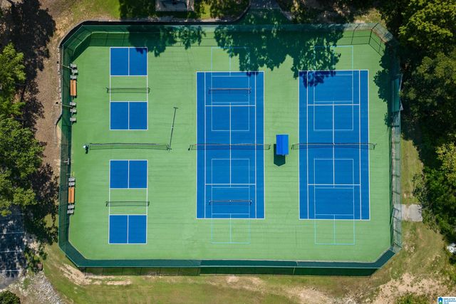 2008 BANEBERRY DRIVE, Hoover, AL 35244