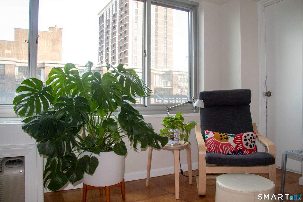 100 York Street 7E, New Haven, CT 06511