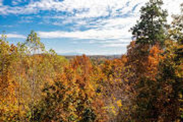 175 Promise Heights Drive, Ringgold, GA 30736