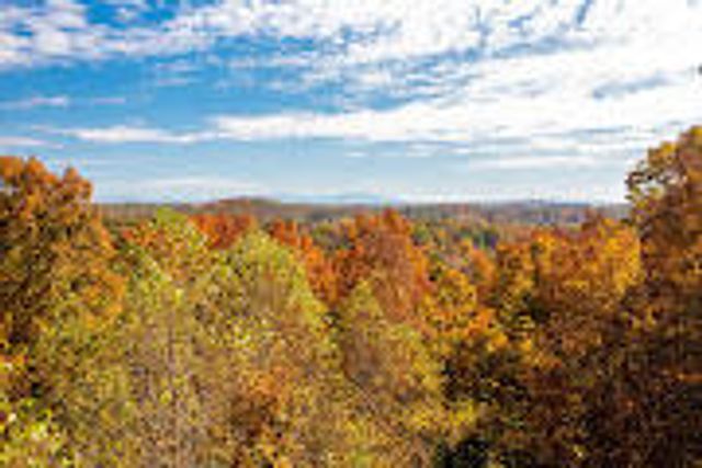 175 Promise Heights Drive, Ringgold, GA 30736