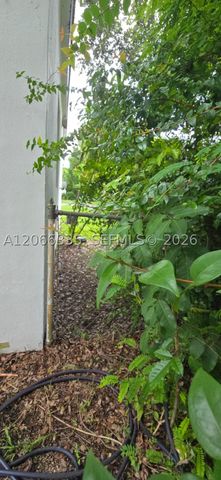 142 NW 98th St, Miami Shores, FL 33150