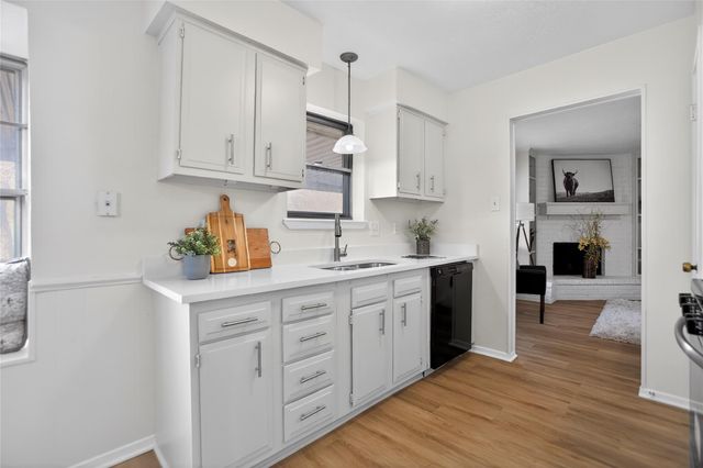 9802 Appleridge Drive, Houston, TX 77070