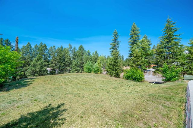 39980 Lake Summit Dr, Loon Lake, WA 99148