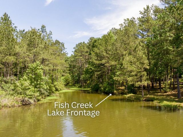 120 Ebner Lake Front Drive, Montgomery, TX 77316