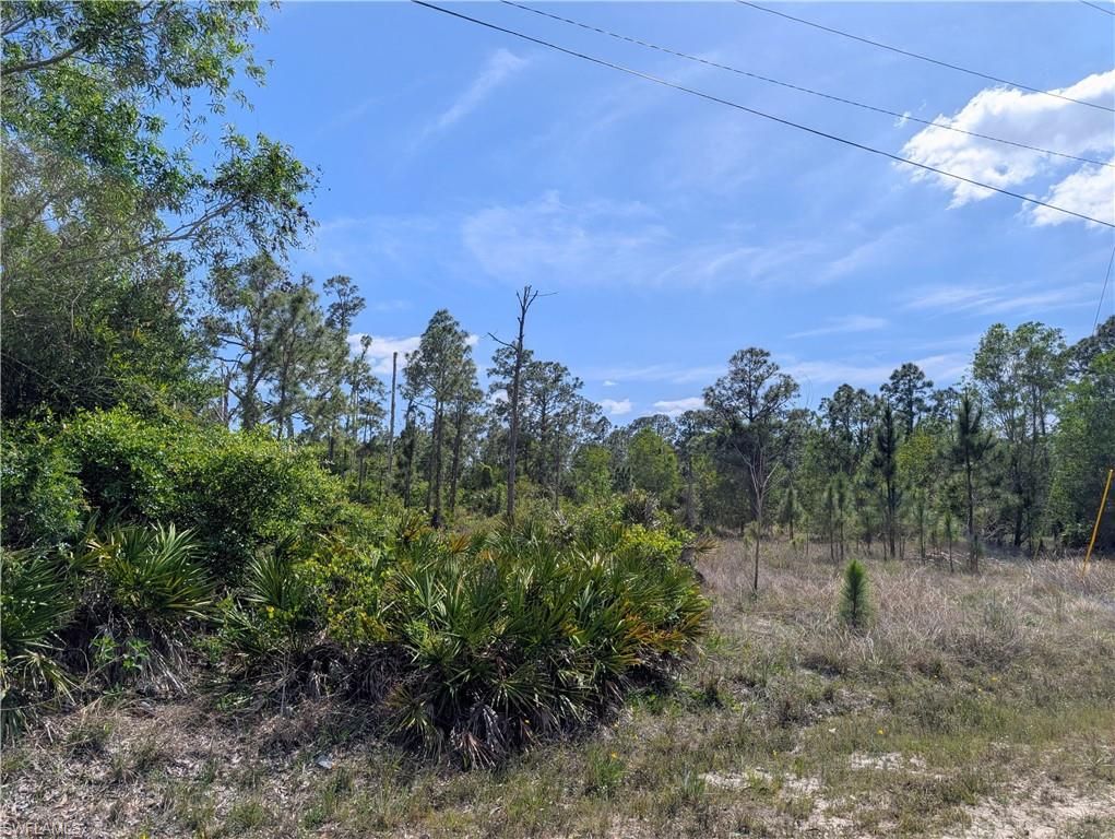 1042 Manning ST, LEHIGH ACRES, FL 33974 — exterior