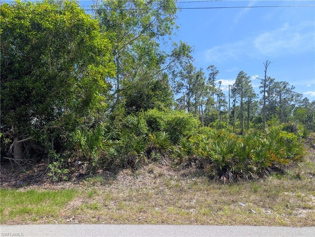 1042 Manning ST, LEHIGH ACRES, FL 33974 — photo 3