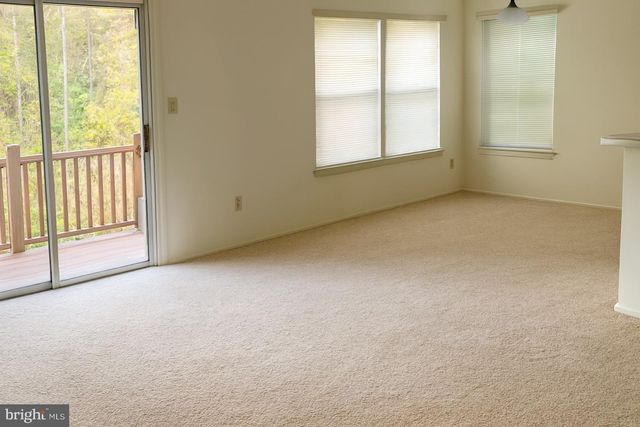 102 JUMPERS CIR #219, Baltimore, MD 21236