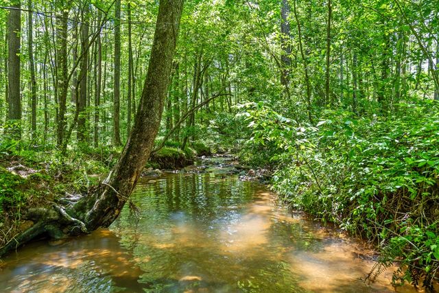 Lot 432 Twisted Oak Road, Talking Rock, GA 30175