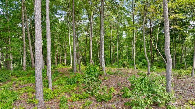 Lot 432 Twisted Oak Road, Talking Rock, GA 30175