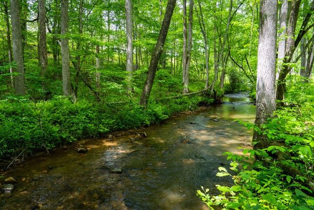 Lot 432 Twisted Oak Road, Talking Rock, GA 30175