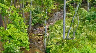 Lot 432 Twisted Oak Road, Talking Rock, GA 30175