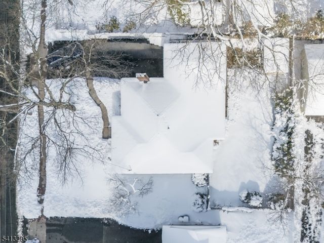 64 Tulip St, Summit City, NJ 07901