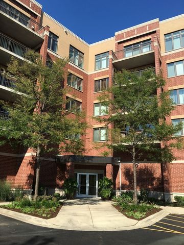 225 Main Street 312, Roselle, IL 60172