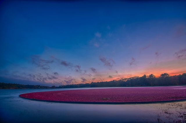 8 Daylily Dr 8, Plymouth, MA 02360