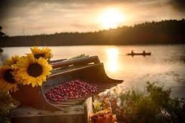 8 Daylily Dr 8, Plymouth, MA 02360