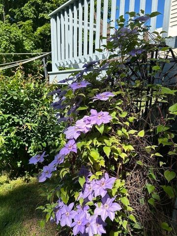 364 North Ave, Rockland, MA 02370