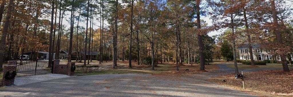 Image 3 of property listing at 0 Pelham Drive, Summerville, SC 29483