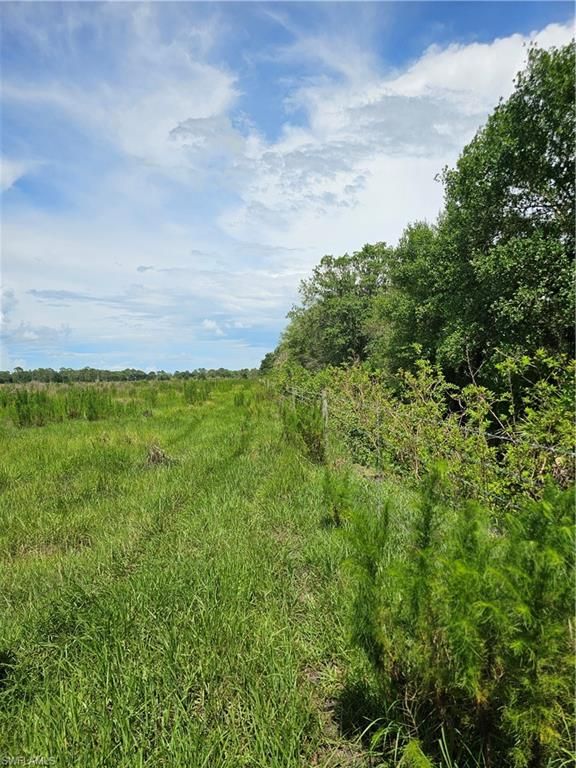 Kirby Thompson RD, LABELLE, FL 33935 — photo 3