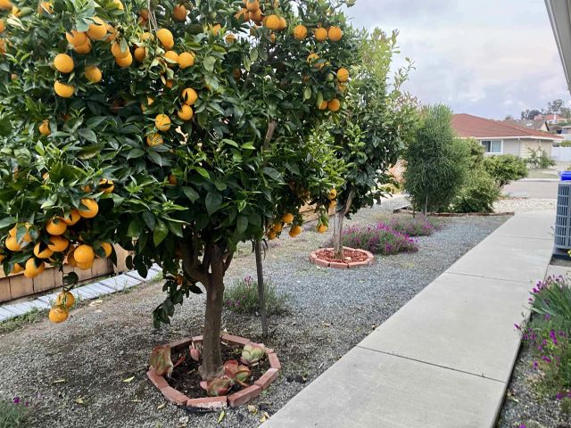 12608 Mantilla, San Diego, CA 92128