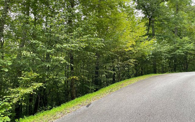 LT 7 Bear Trail, Hiawassee, GA 30546