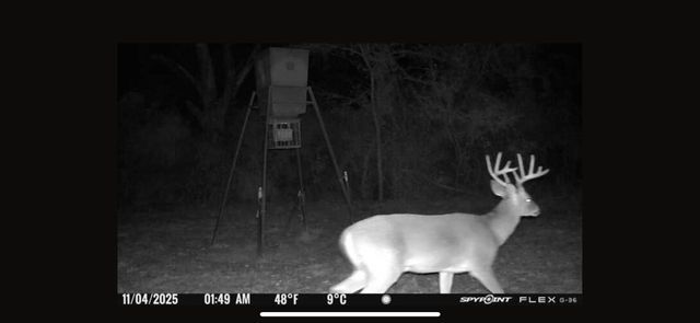 201 Lcr 646, Thornton, TX 76687