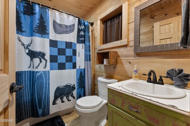 251 Cartertown Road, Gatlinburg, TN 37738