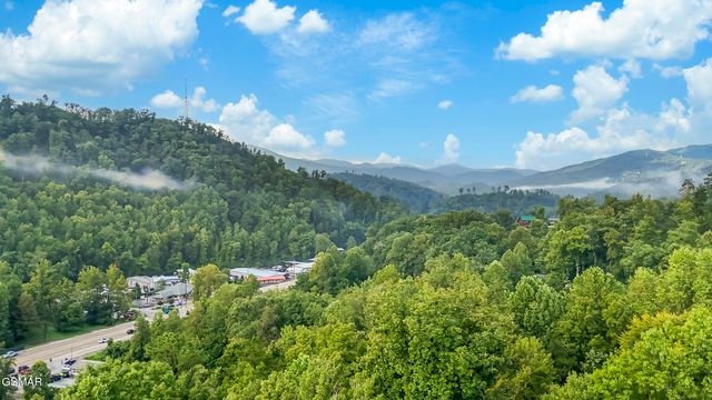 251 Cartertown Road, Gatlinburg, TN 37738