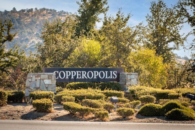 219 Bridle Point Cir, Copperopolis, CA 95228